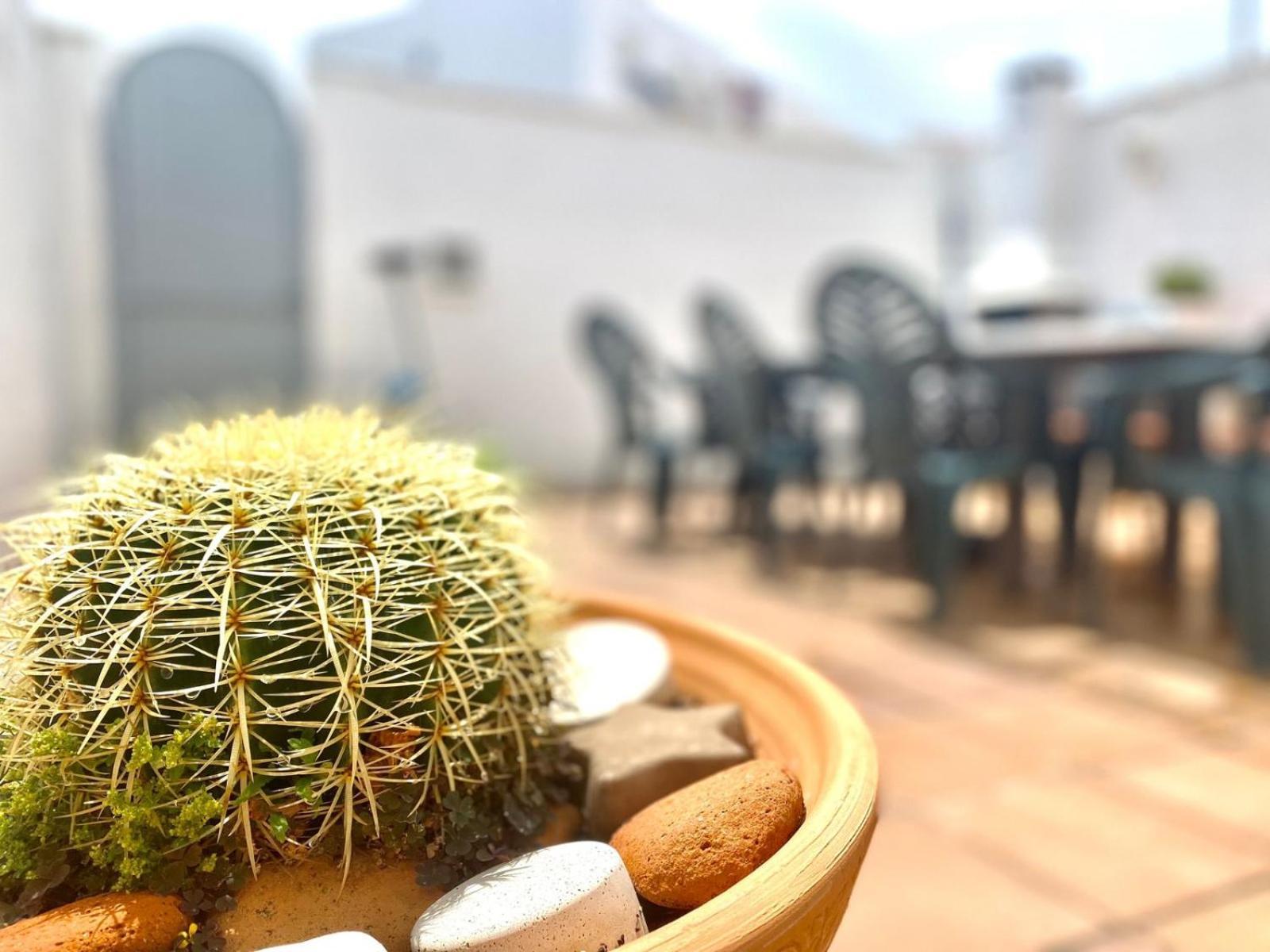 Casa Cony Villa Tarifa Bagian luar foto